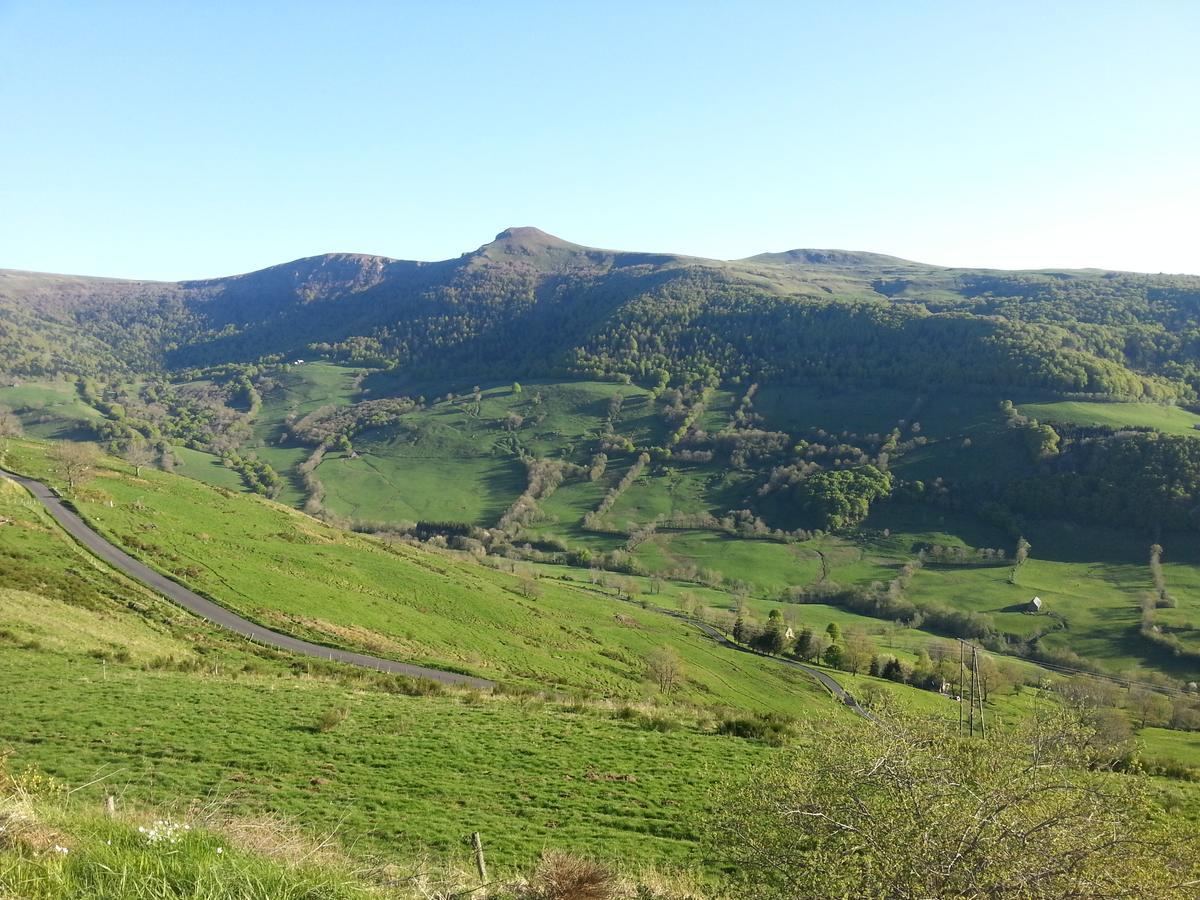 فندق Auberge Du Col De Neronne Le Falgoux المظهر الخارجي الصورة